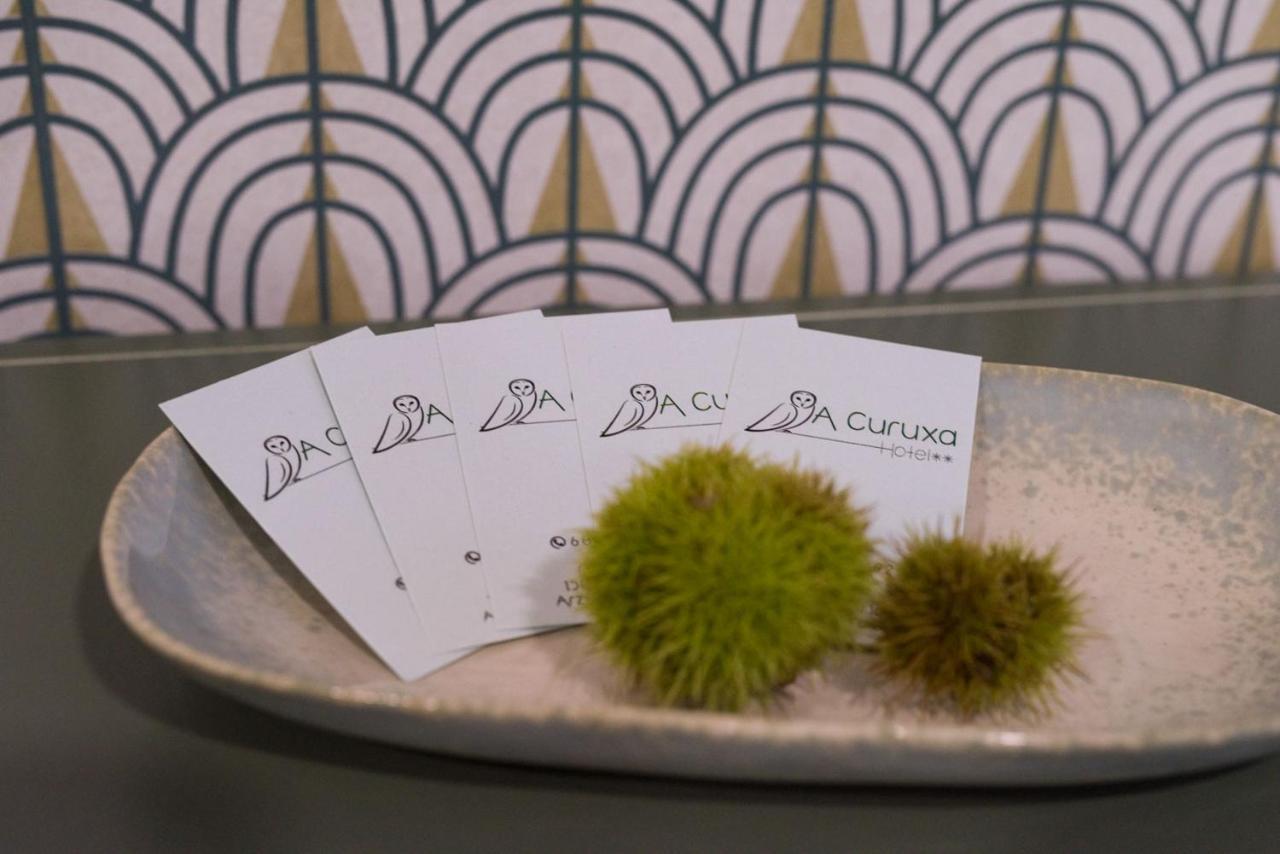 Hotel A Curuxa Wellness Arzúa 外观 照片